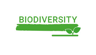 More on the 'Biodiversity' criterion