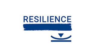 More on the 'Resilience' criterion