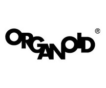 Organoid